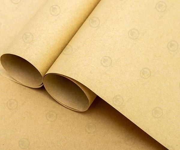 Ekonomi melingkar dibawa oleh manufaktur kertas Kraft