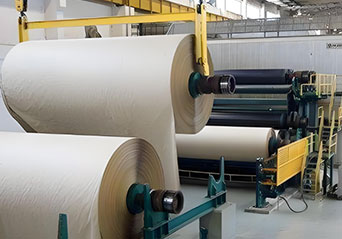 Surge in global pulp dan harga kertas petunjuk pabrik kertas India besar untuk meningkatkan harga kertas domestik