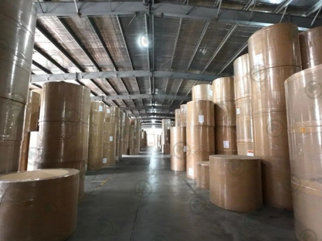 Pada tahun 2024, produksi kertas dan karton Tiongkok melebihi 150 juta ton, menetapkan catatan Bersejarah!