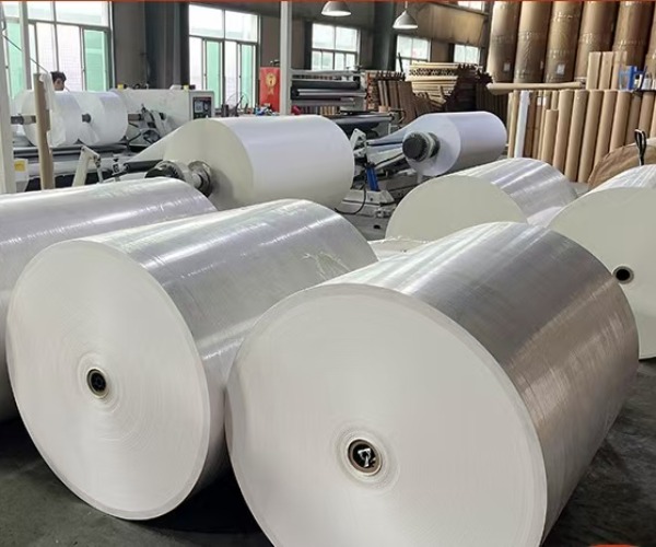 IMG_202506179616_600x500.jpg IMG_202506179616_600x500.jpg