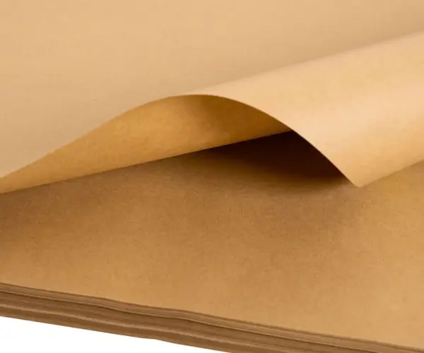 Bubur kertas yang diputihkan vs bubur kertas yang tidak dikelantang: mana yang harus Anda pilih?