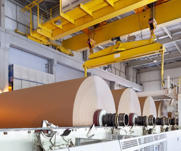 Apa bahan baku yang digunakan dalam pembuatan kertas?