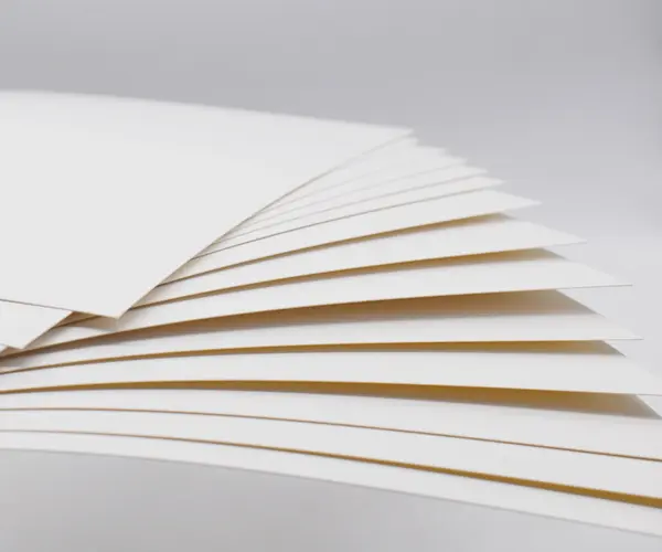 Solid Bleached Sulfate (SBS) vs Folding Box Board (FBB): Apa perbedaan dalam kemasan karton?