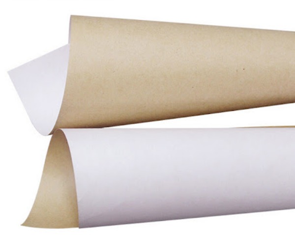 coated_kraft_back_board.jpg coated_kraft_back_board.jpg