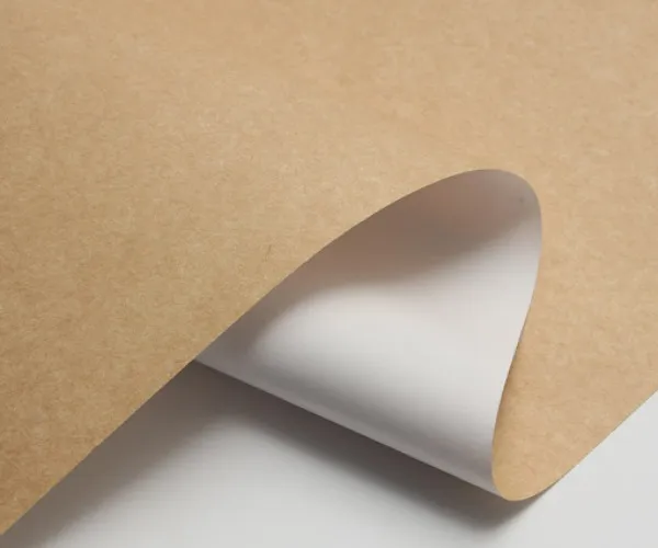 Mengapa CKB menjadi semakin populer