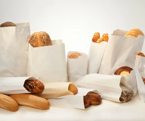 Kemasan makanan beku dan dingin