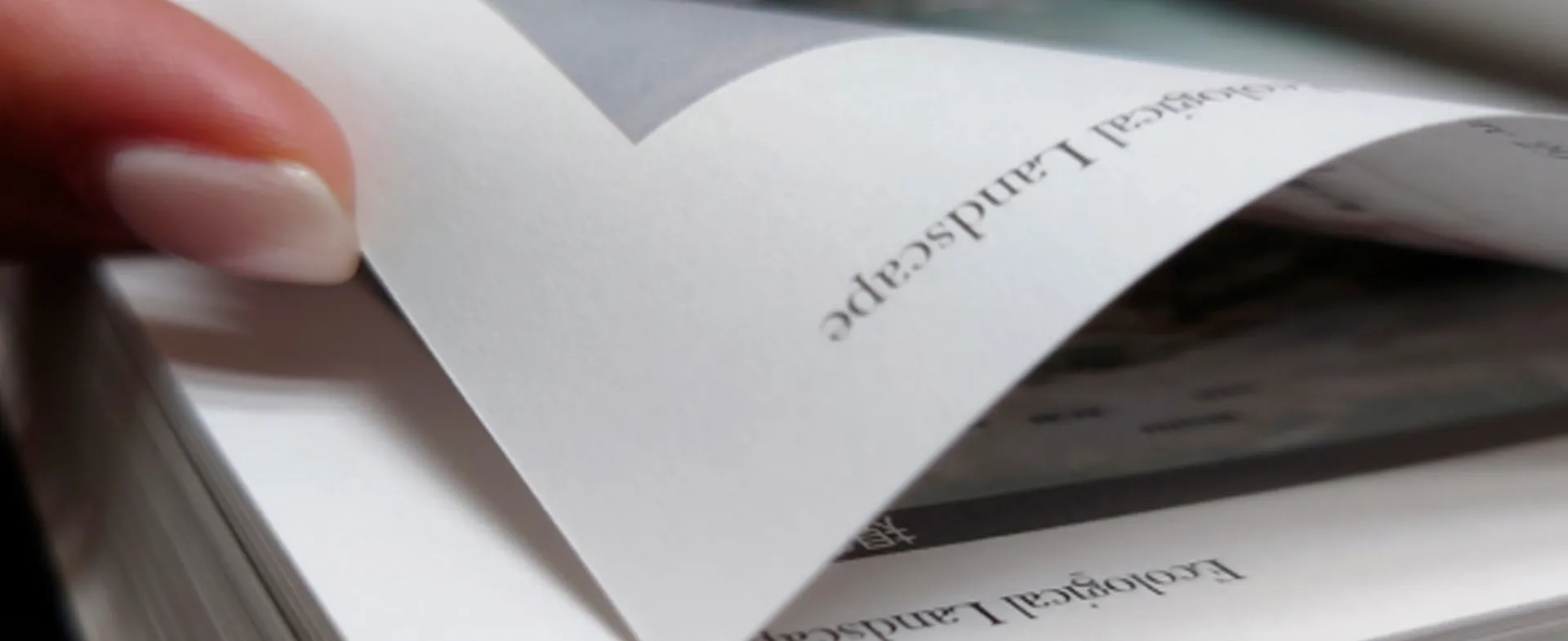 Solusi kertas emas untuk pencetakan & penerbitan keunggulan