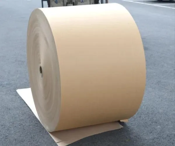 absorbent kraft paper 2