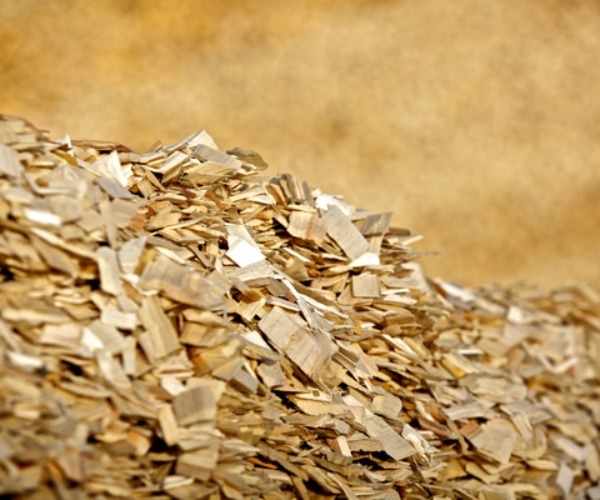 Mechanical_Wood_Pulp.jpg Mechanical_Wood_Pulp.jpg