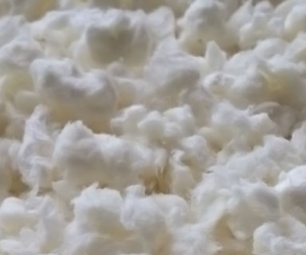 Sulphate_Wood_Pulp.jpg Sulphate_Wood_Pulp.jpg