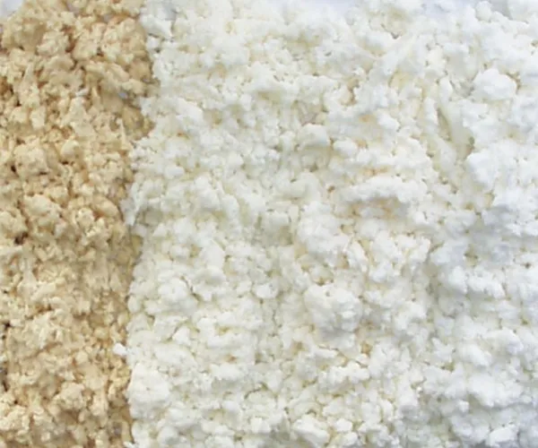 Sebuah Panduan lengkap untuk jenis bubur kertas dan penggunaannya